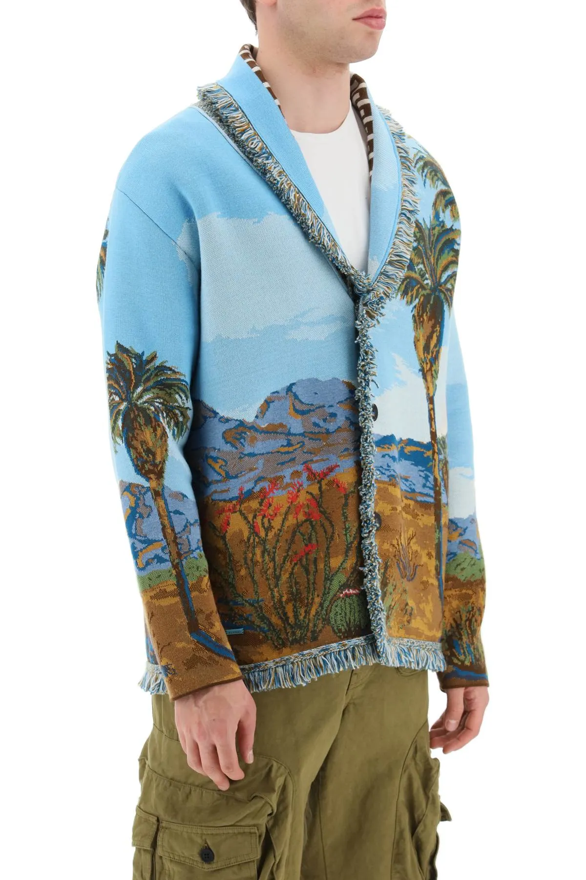 Alanui 'land of dreams' jacquard cardigan