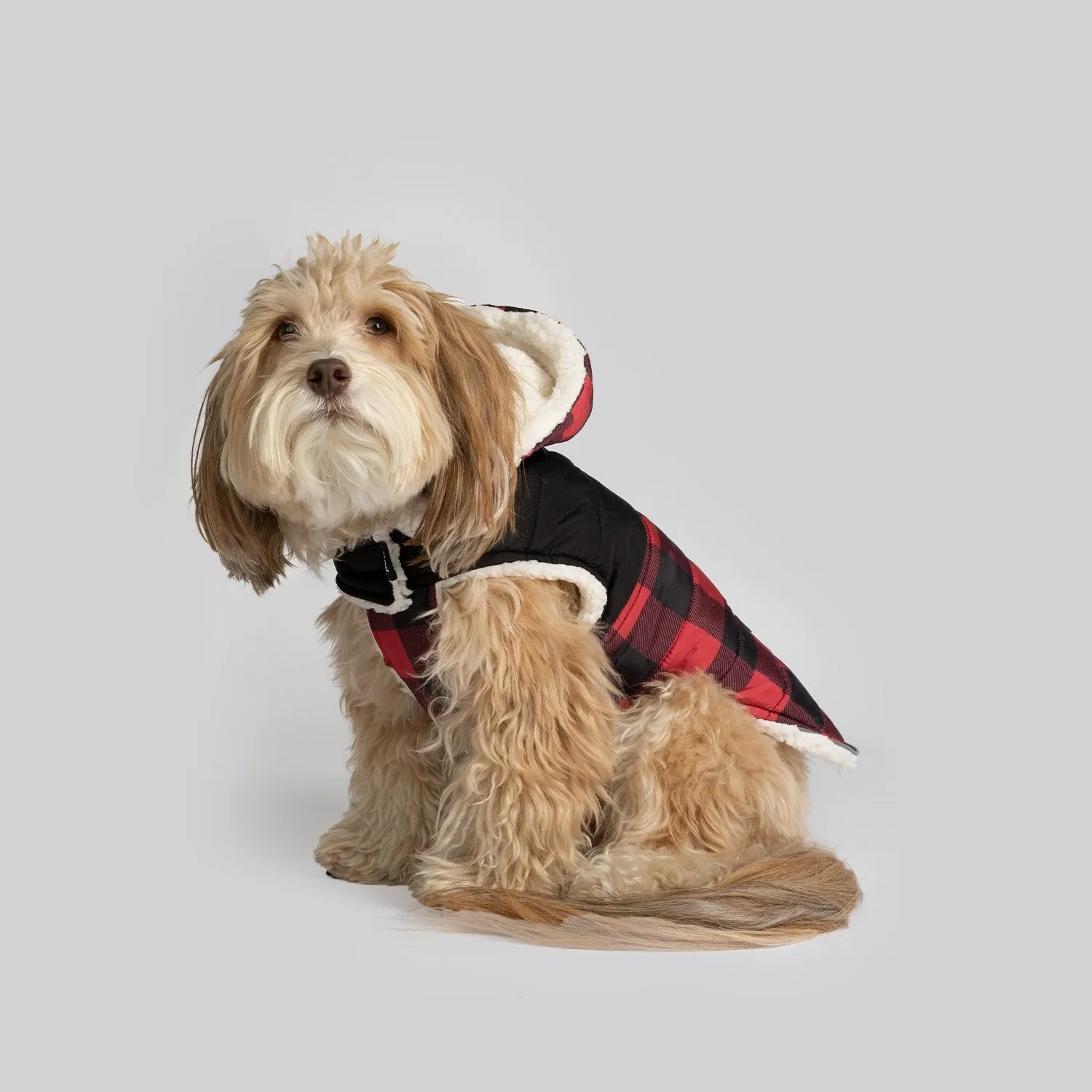 Marley Dog Jacket - Red