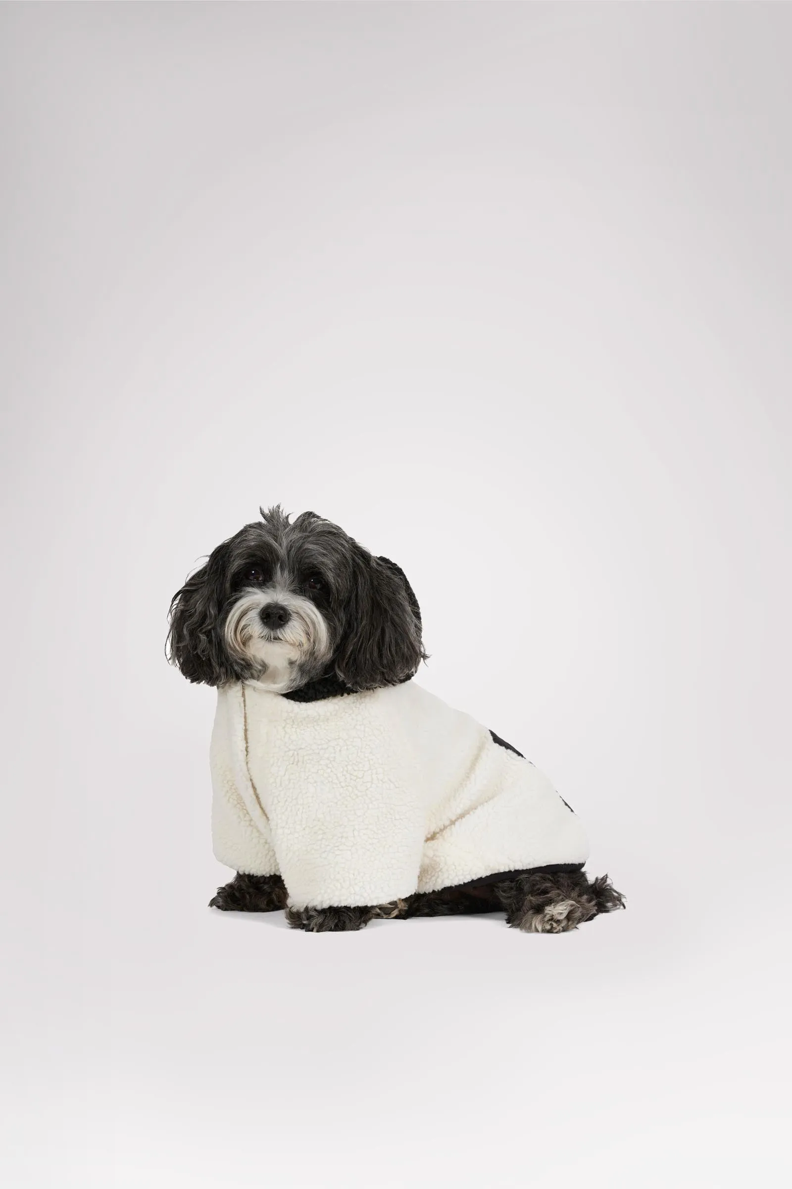 Max Jacket w/Hood for Dogs