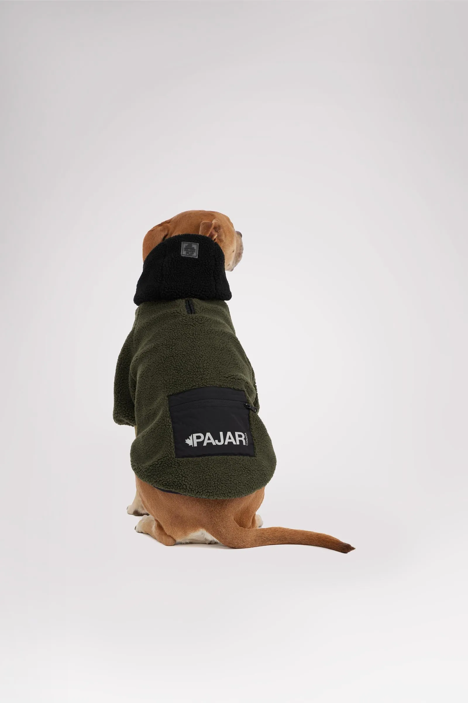 Max Jacket w/Hood for Dogs