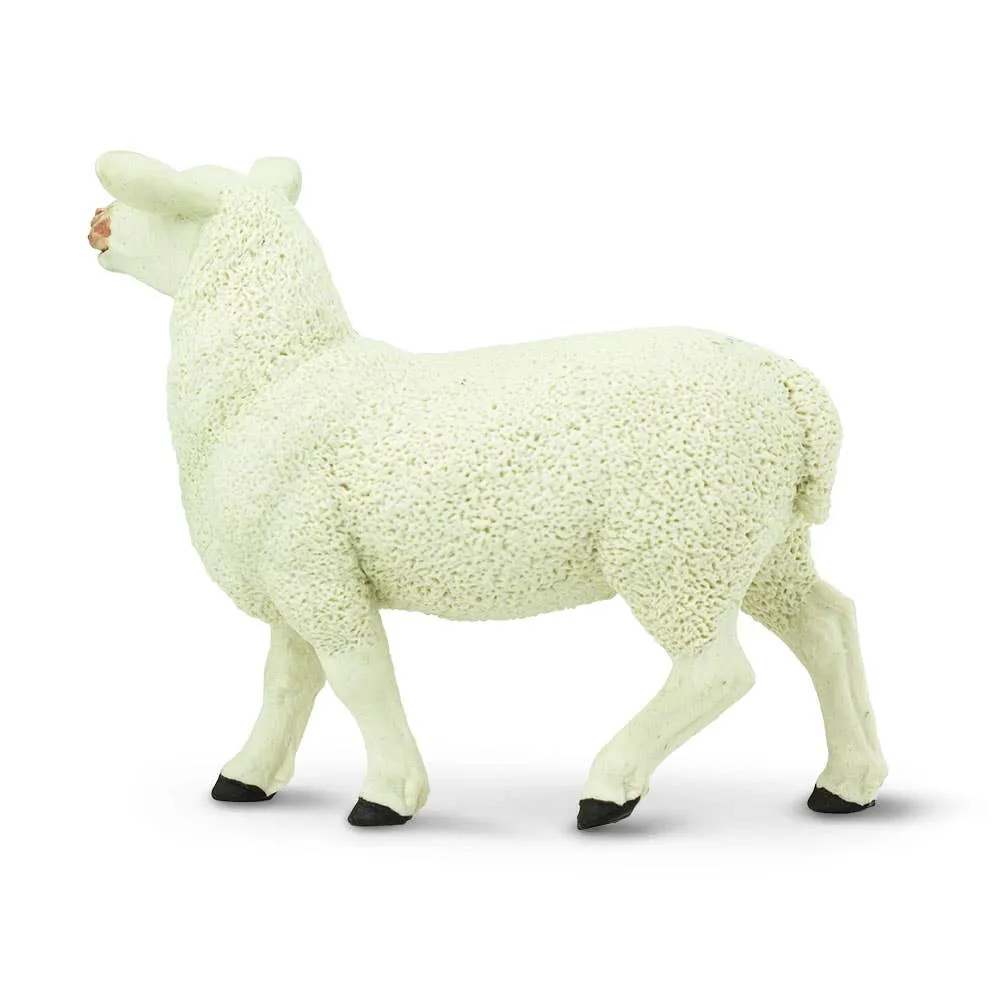 Safari Ltd. - Ewe